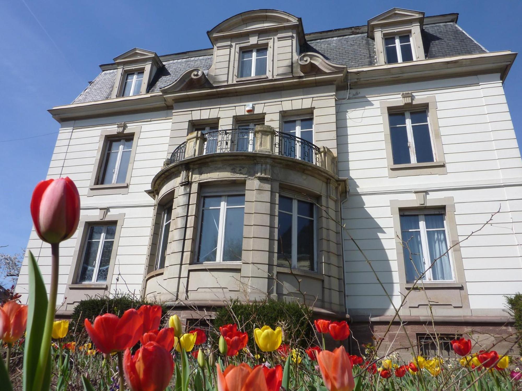 Villa Elyane Кольмар Экстерьер фото